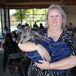 Profile Picture of Terry Staten (@staten.terry) on Instagram