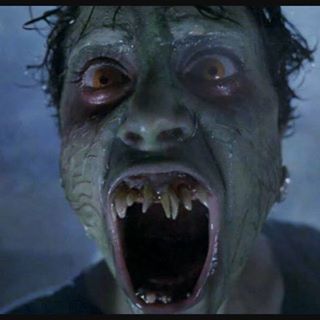 Profile Picture of Amy Holness (@Amy-Holness) on Facebook