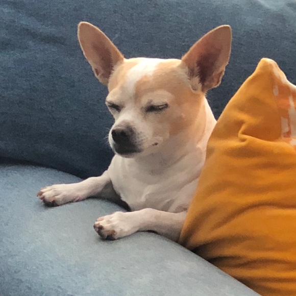 Profile Picture of Lena Ragona (@lenaragona) on Poshmark