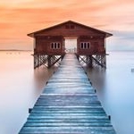 Profile Picture of Anthony Norton (@anthonyphotosny) on Instagram