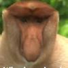 Profile Picture of Travis thomas (@travisthomas18) on Tiktok