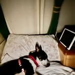 Profile Picture of Rich Clatworthy (@Rich-Clatworthy) on Facebook