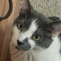 Ozzietta Ransom Jean-louis - Quora Profile Picture of Ozzietta Ransom Jean-louis (@ozzietta-ransom-jean-louis) on Quora