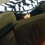 Profile Picture of Corey Harter (@modest_corey) on Instagram