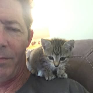 Profile Picture of James Haumann (@james.haumann) on Instagram