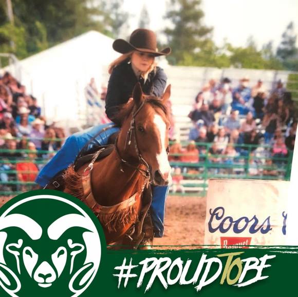 Profile Picture of Katie Drosihn (@kdrosihnca1) on Poshmark