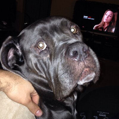 Profile Picture of Jeff Tovar (@jefft0var) on Twitter