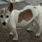 Profile Picture of Wayne Howell (@wayne.howell.35) on Facebook