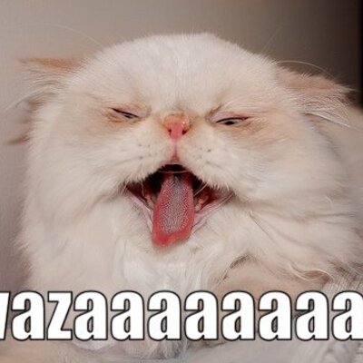 Ben Tucker - Twitter Profile Picture of Ben Tucker (@BennyBoomhauer) on Twitter