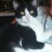 Profile Picture of Jo Ackerman (@jo.ackerman.7) on Facebook