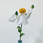 Profile Picture of amanda.mcclean58 (@amanda.mcclean58) on Instagram