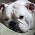 Profile Picture of Steve LaHaie (@steve.lahaie.1) on Facebook