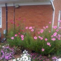 Profile Picture of Marcie Stephens (@marcie-stephens-4) on Quora