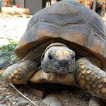 Julia Esperanza🐢 - Instagram Profile Picture of Julia Esperanza🐢 (@callmejulita) on Instagram