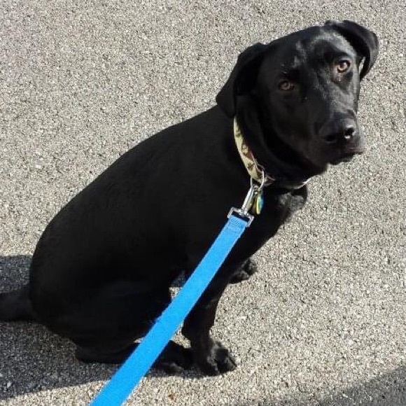 Profile Picture of Brian Bishop (@bishka16) on Poshmark