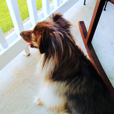 Profile Picture of Rebecca Paynter (@rebapaynt) on Twitter