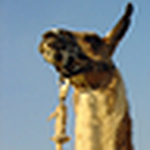 Profile Picture of Rachel Simmons (@rachie simmons) on Flickr