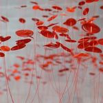 Profile Picture of Bianca Schenker (@biancaschenker) on Instagram