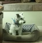 Profile Picture of Lori Wysong (@lori.wysong.56) on Facebook