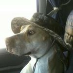 Profile Picture of Jay Eckels (@jayeckels) on Instagram