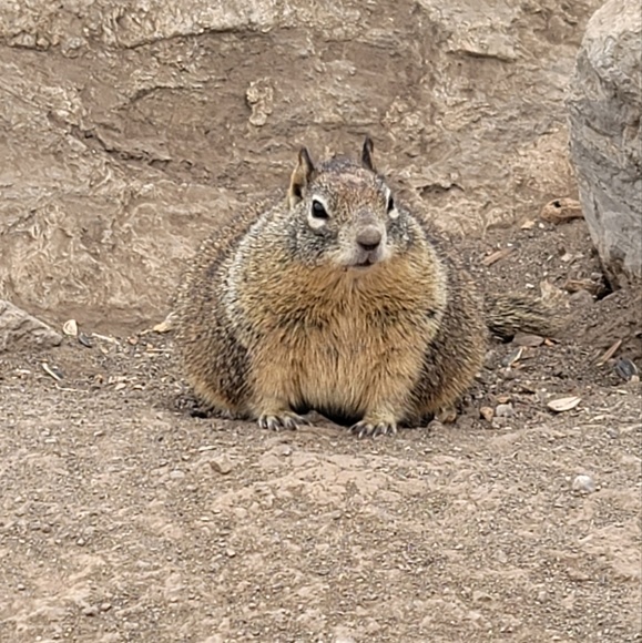 Profile Picture of Raymond Chow (@raymondchow) on Poshmark