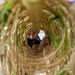 Profile Picture of daniel santamaria (@dbsantamaria) on Pinterest