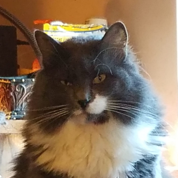 Profile Picture of Bonnie Clelland (@bonnie0228) on Poshmark