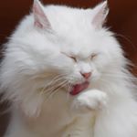 Profile Picture of LEIMKUHLER (@leimkuhlerwi) on Instagram