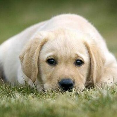 Profile Picture of Julia Bang (@JuNicol) on Twitter