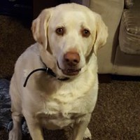 Profile Picture of Stacy Stansfield (@stacy-stansfield) on Quora