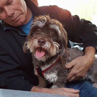 Profile Picture of Roland Yttergren (@roland.yttergren.1954) on Facebook