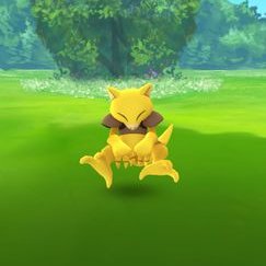 Profile Picture of Emilio León Alcántar (@EmilioLenAlcnt1) on Twitter