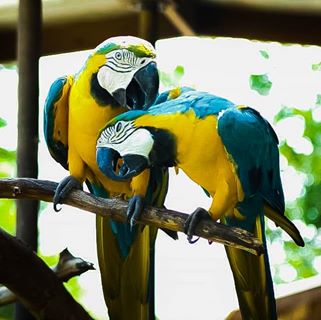 Profile Picture of Thomas Haley (@crazyscout85) on Facebook