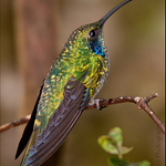 Profile Picture of Akif Kadim (@akif.kadim) on Flickr