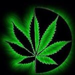 Profile Picture of Anthony Scott Kilby (@one.love.420) on Instagram