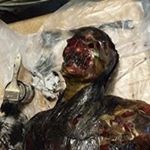 Profile Picture of Aaron Kays (@aaronkays) on Instagram