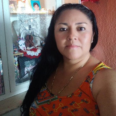 Profile Picture of Julia Salinas Arriaga (@salinas_arriaga) on Twitter