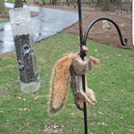 Profile Picture of Adam phillips (@adam_phillips_02) on Instagram