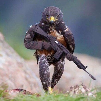 Christopher Collard - Twitter Profile Picture of Christopher Collard (@CollardPs3) on Twitter