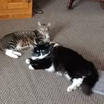 Profile Picture of Nancy Stoneman (@nancy.stoneman.14) on Facebook