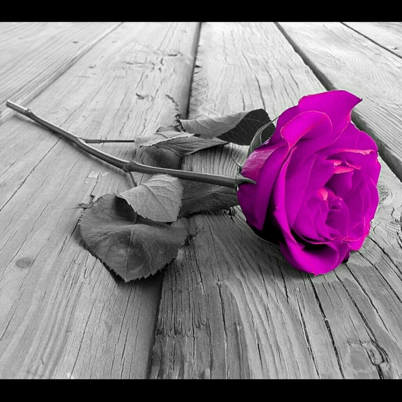 Profile Picture of Bobbie Deriso (@bobbiederiso) on Poshmark