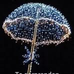 Profile Picture of Claudy Brawn (@Claudy-Brawn) on Facebook