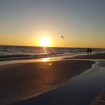 Profile Picture of Janet Leitnick Barr (@carolinagirl_66) on Instagram
