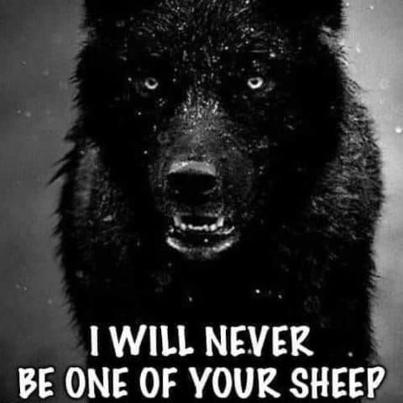 Profile Picture of Jimmy Mason (@jimmason019) on Poshmark