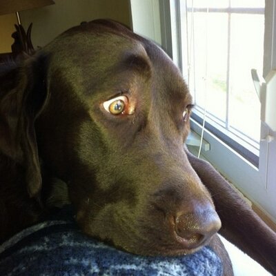 Profile Picture of Joseph Bol (@joebol14) on Twitter