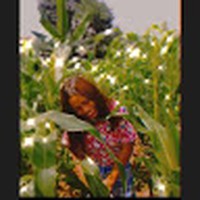 Normie Cayol - Quora Profile Picture of Normie Cayol (@normie-cayol) on Quora