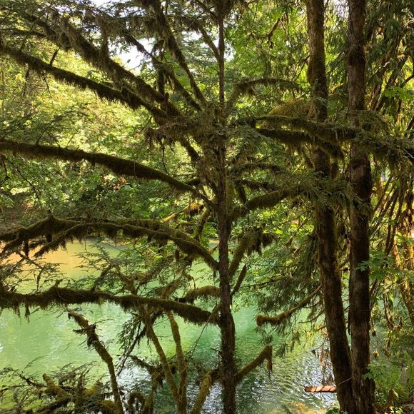 Profile Picture of Kevin Billings (@amffmr) on Poshmark