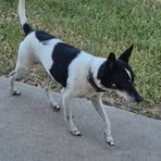 Profile Picture of Lisa Ayers (@emmer.ayers.1) on Facebook