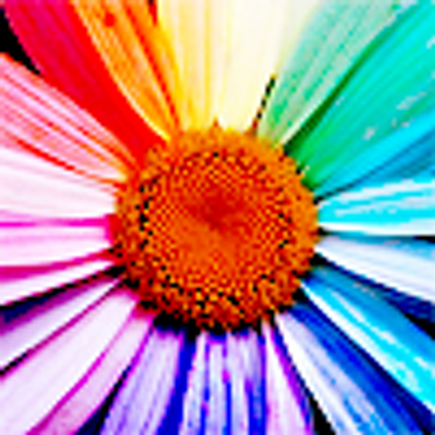 Profile Picture of Alice Dwyer (@ARD1301) on Twitter