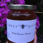 Profile Picture of Suzi & Jeremy (@simplydivinehoney) on Instagram